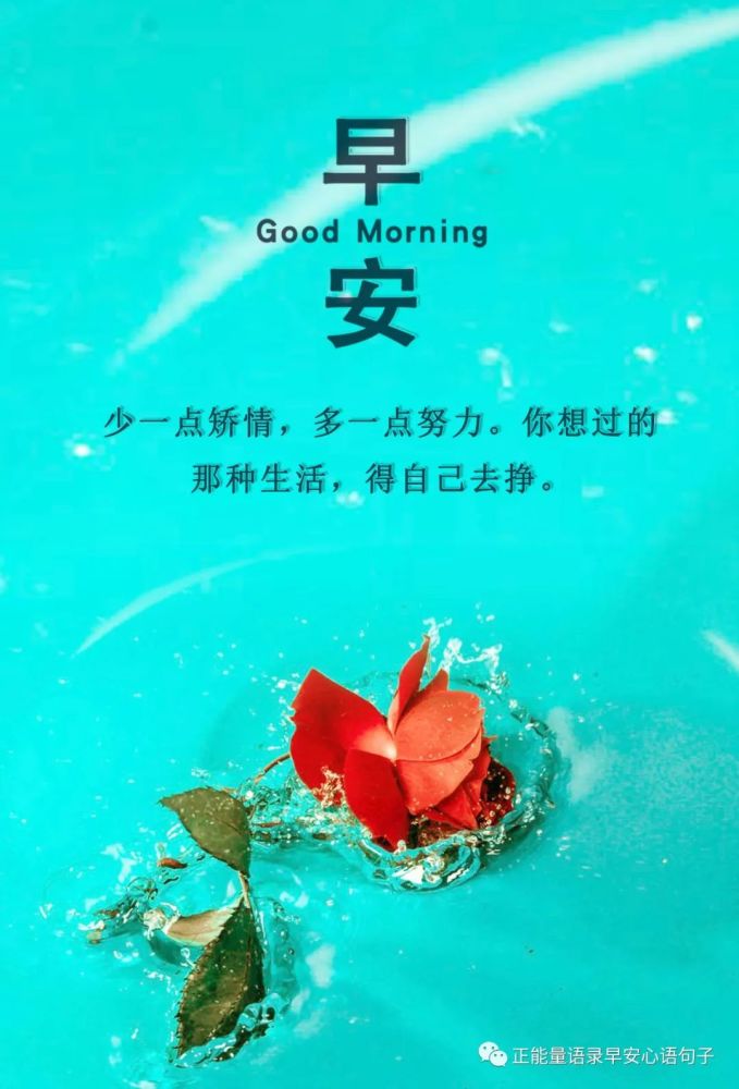 11月4日早安心语|早安暖心的简短问候语,超有格局的早安正能量说说