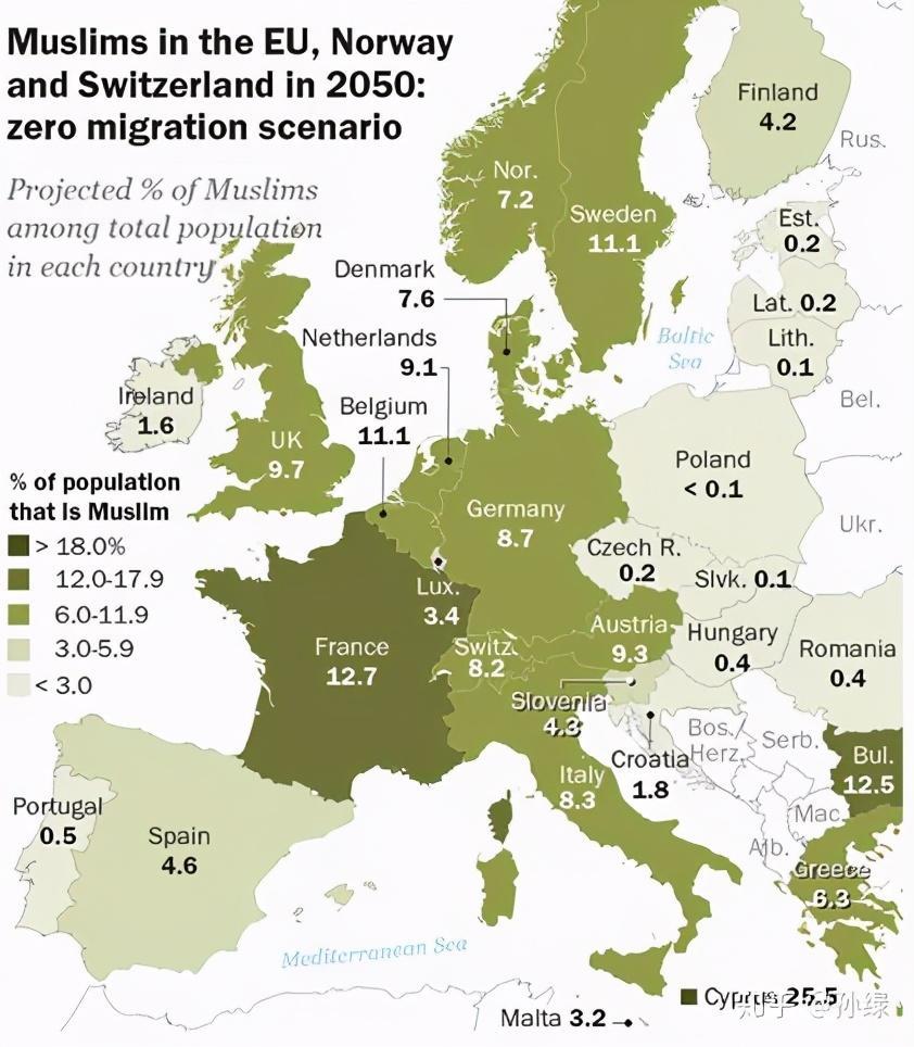法国的穆斯林人口(2)