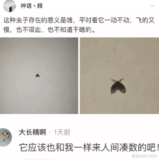 刘阳河歌曲原唱曲谱词毛(3)