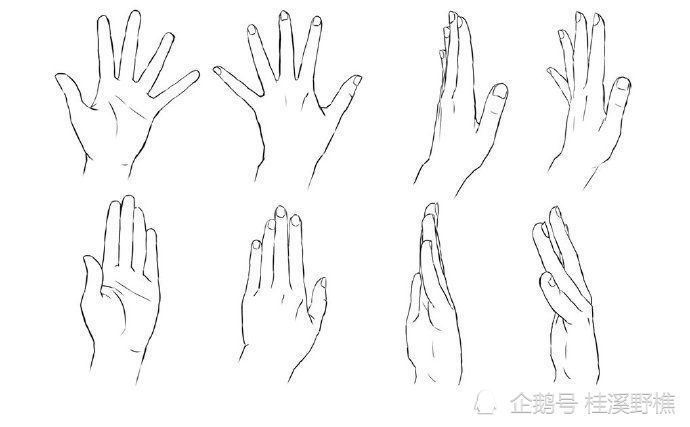 初学者怎么学习画手从入门到简单学会画手很简单快来学习