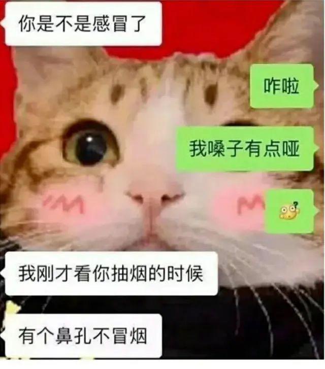 你是不是感冒了我刚才看你抽烟的时候鼻孔不冒烟哈哈哈哈