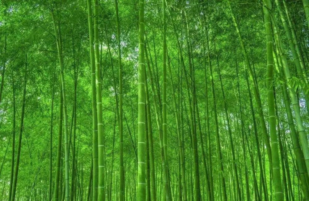 人生一个缘字,相知,相守一辈子