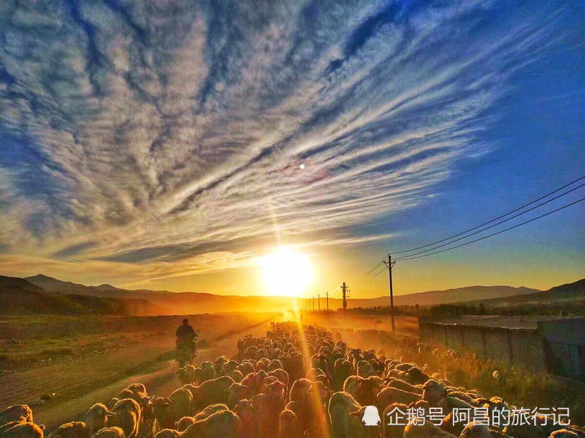 动态曲谱可可托海的牧羊人_可可托海的牧羊人曲谱(3)