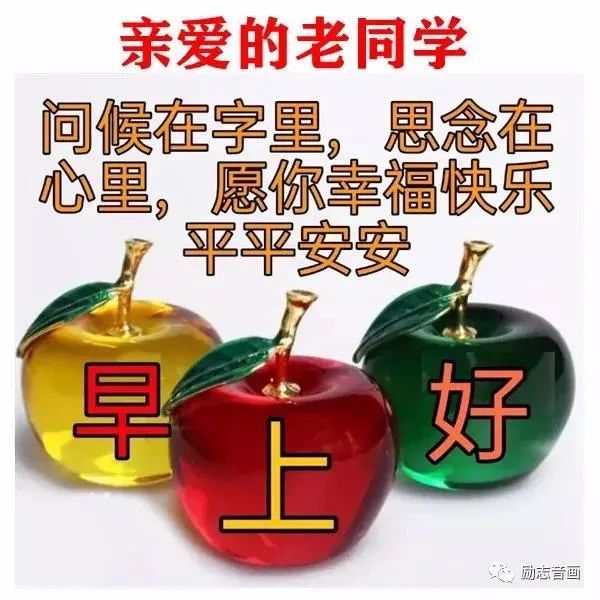 周四早上好问候祝福语,星期四早安加油,祝你人生一路精彩,阳光灿烂!