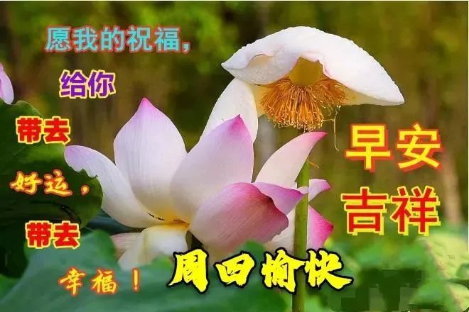 15,早上朝霞满天,祝你平安伴身边;中午烈日炎炎,祝你幸运一整天;晚上