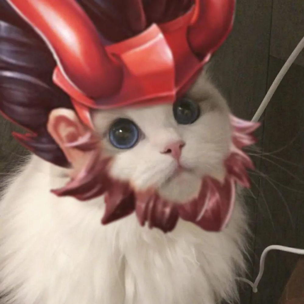 情侣头像|超级可爱的猫咪王者头像,第三期来咯