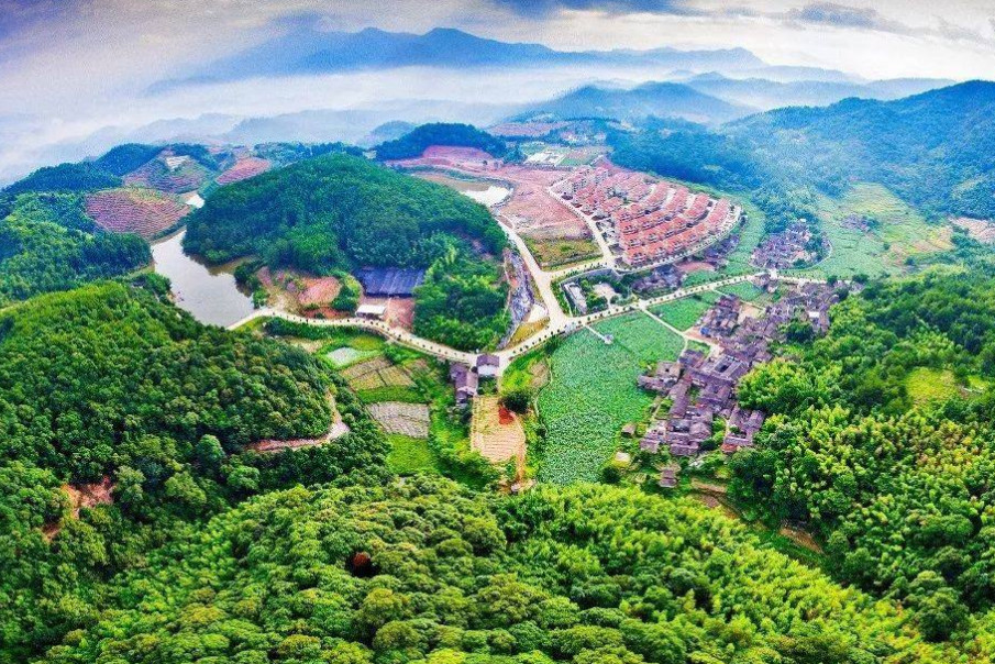 新罗区经济总量为什么_龙岩新罗区(2)