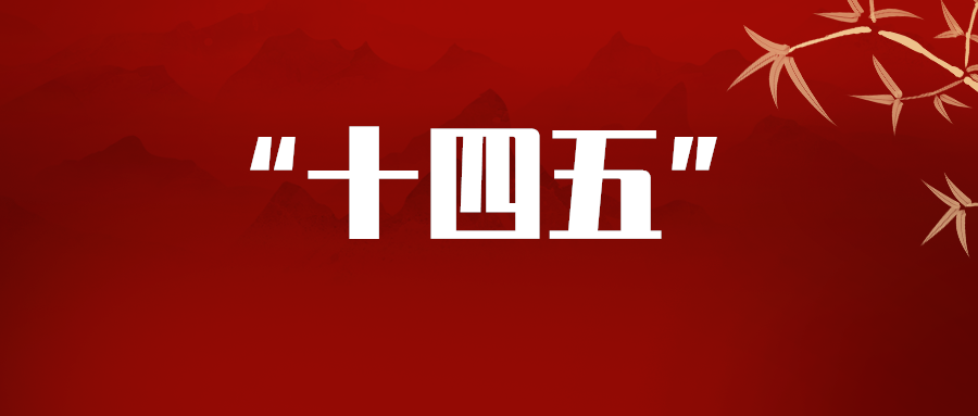 关于社会保障,"十四五"要办好这些事!