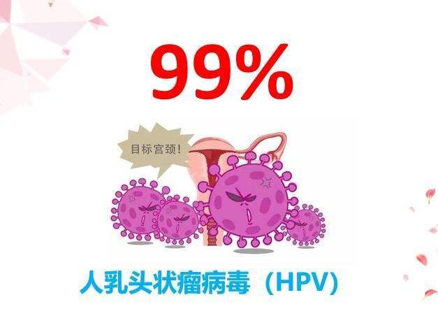 宫颈锥切后还会有hpv病毒吗hpv为什么这么难好