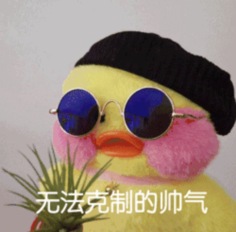 玻尿酸鸭表情包