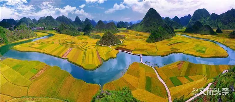 富宁县鸟王山茶园风景区