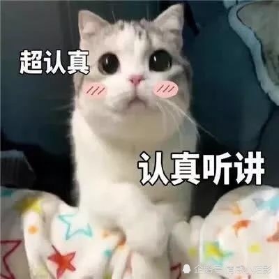 萌萌猫咪表情包就到这里咯! 小编专注搞笑与萌宠!