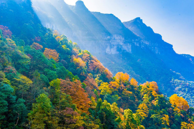 作为中国南方喀斯特地貌景观的代表景点之一,金佛山具有原始独特的