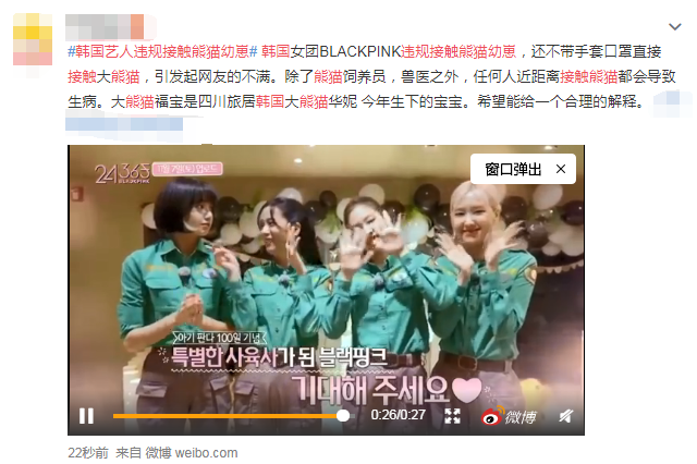 blackpink引争议?带妆零距离抱大熊猫,网友愤怒:请归还