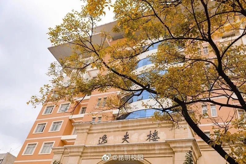 云南财经大学