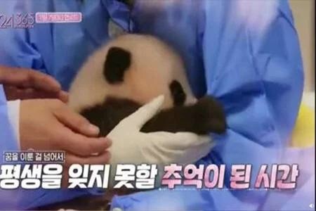 熊猫人口罩_熊猫人表情包戴口罩