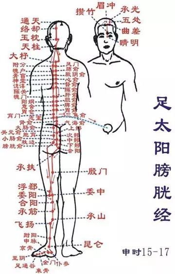 按摩膀胱经能治愈13种病你不知道吧