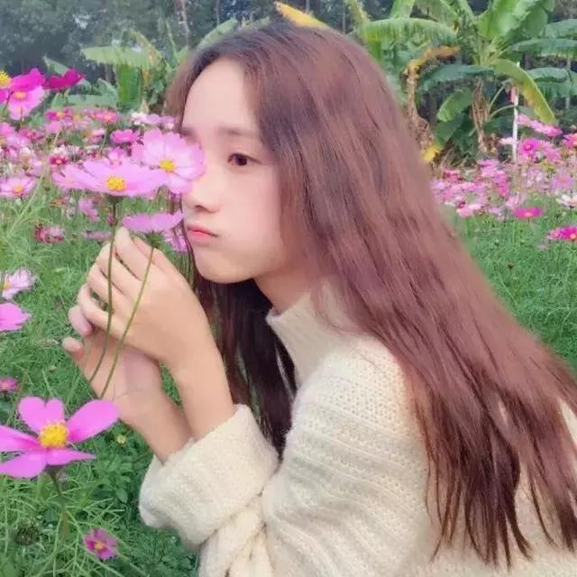 樱花系好看的女生头像!