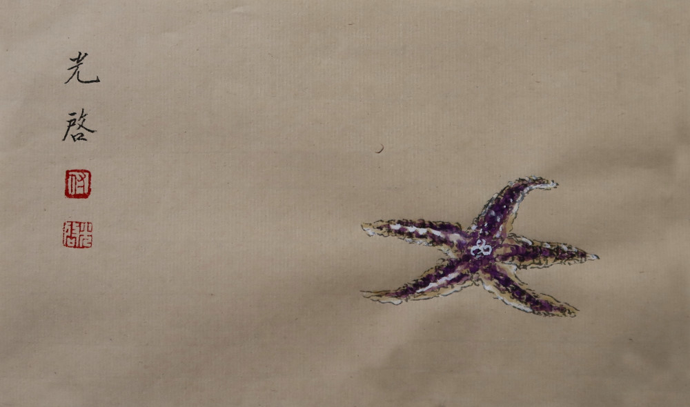 付光启老师的小写意海洋生物海马螃蟹海胆
