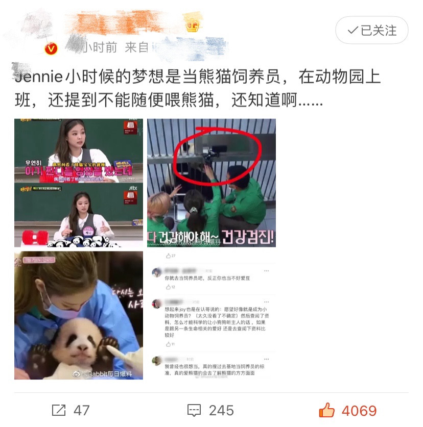 blackpink遭起底jennie长大想当熊猫饲养员被指明知故犯