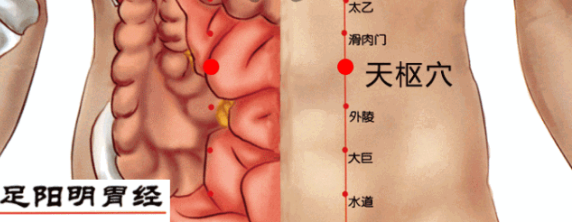 有一个穴位很厉害,能转动中气,孤星斡旋乾坤,您平常它