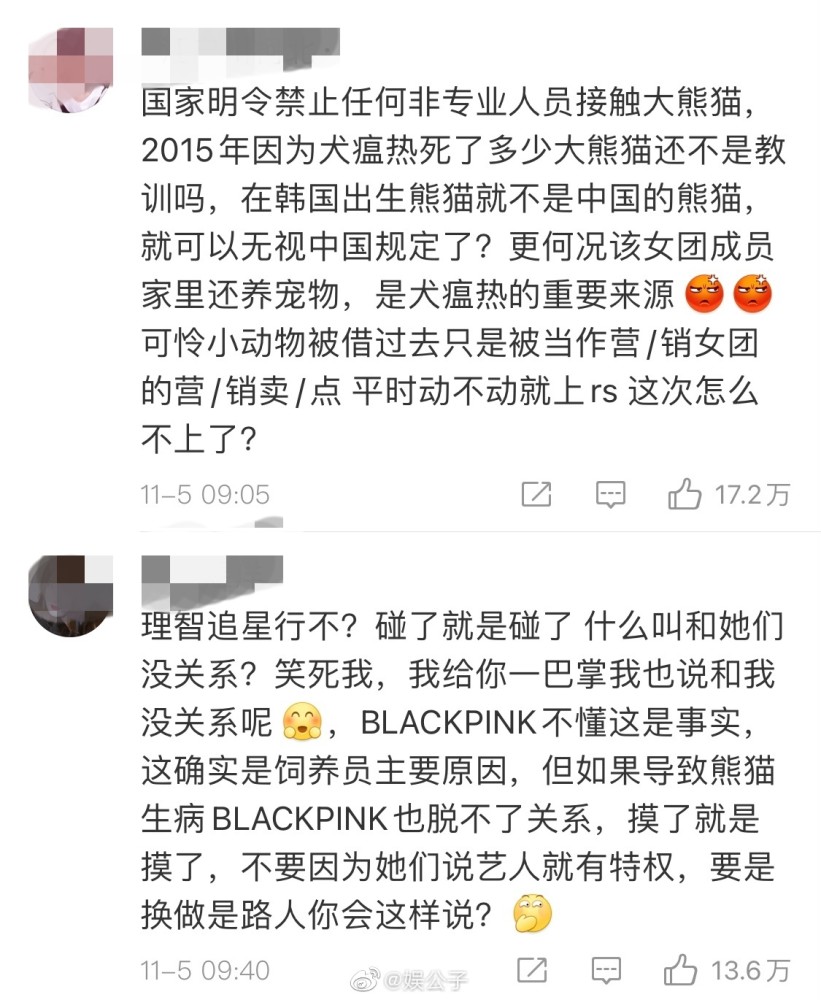 熊猫抱了会化掉吗blackpink存在违规行为