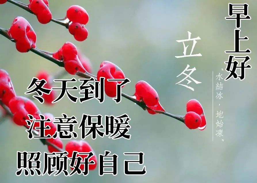 立冬最漂亮早上好动态表情图片大全,早晨好动图美图大全