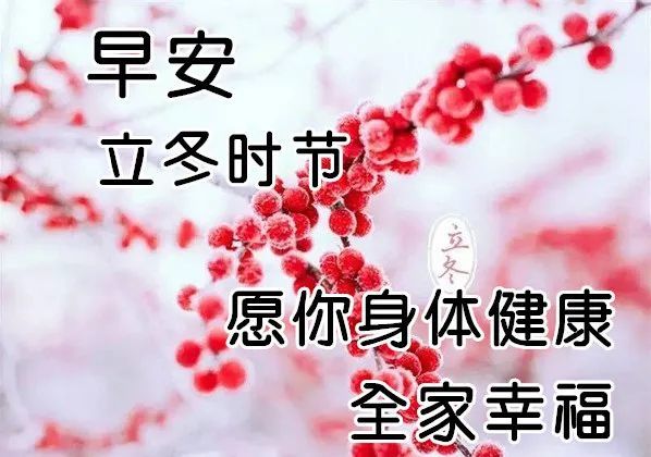 立冬最漂亮早上好动态表情图片大全,早晨好动图美图大全