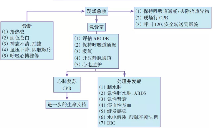 儿科常用急救思维导图 危急值处理!