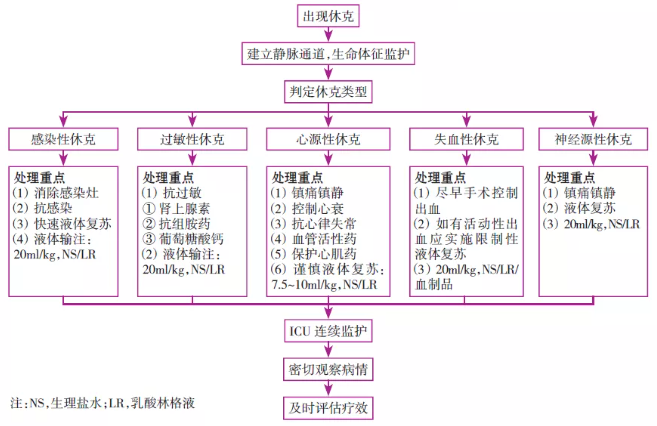 儿科常用急救思维导图 危急值处理!