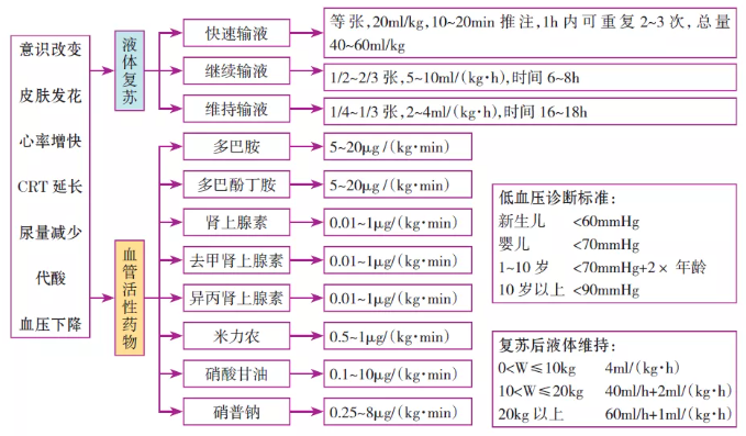 儿科常用急救思维导图 危急值处理!