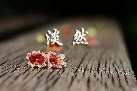 人,宁可孤独,也不违心;宁可抱憾,也不将就!