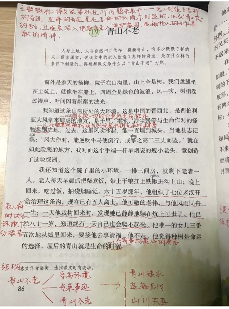 六年级语文上册第六单元课文笔记汇总孩子预习的好帮手