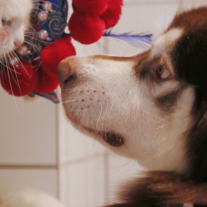 情头可爱 腾讯网