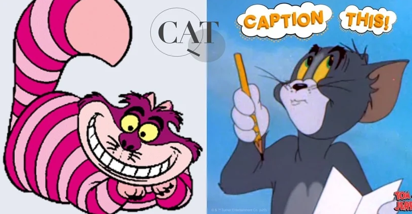 以下就公开5部热门动画片中的猫咪角色品种,一起来看看吧!