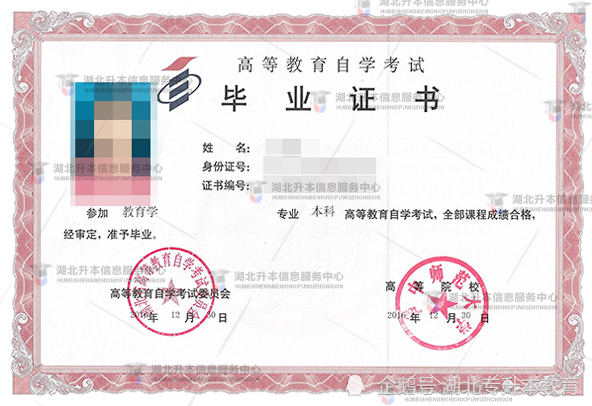 自考教育机构排名_自考学期教育本科科目