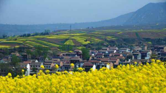 昆山市玉山镇gdp是多少_深圳各镇人均gdp排名 深圳各区gdp排名2020 3