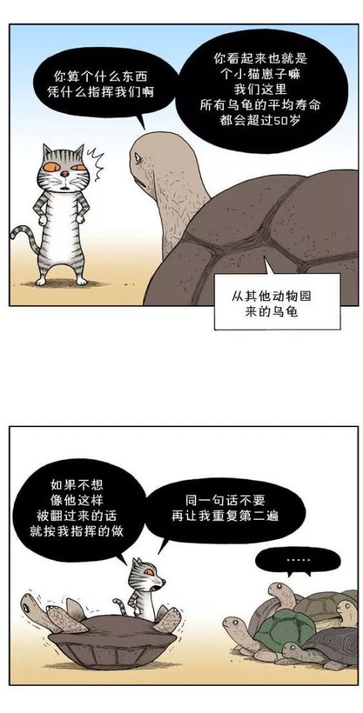 午夜怪谈漫画动物园的秩序