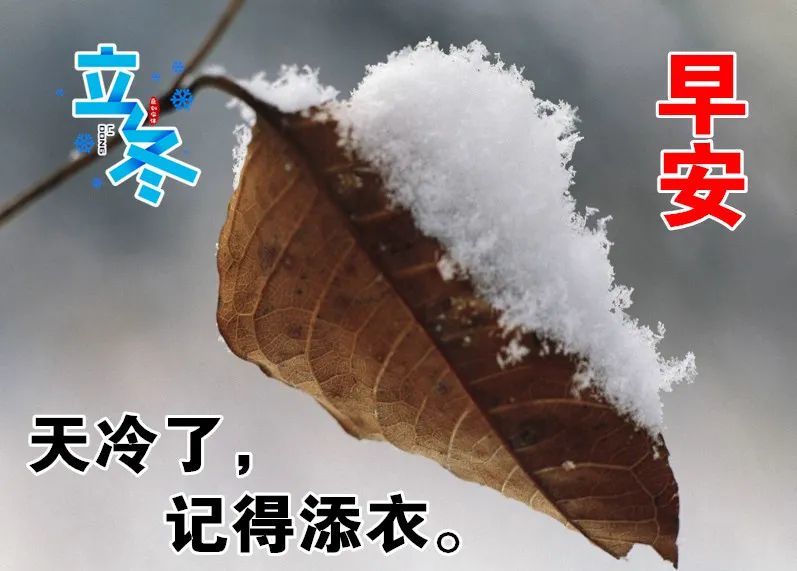 11月07日早上好立冬问候