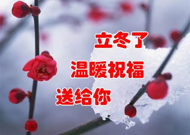 11月07日早上好立冬问候