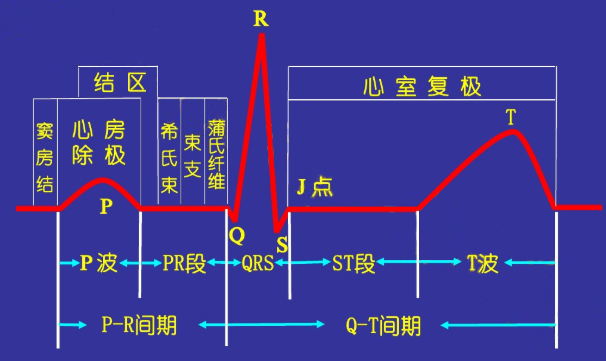 心电知多少心电图的基本原理