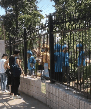 Rm特辑 Gif特辑 封 校的大学生有多狠 看完我裂开了 搞游戏