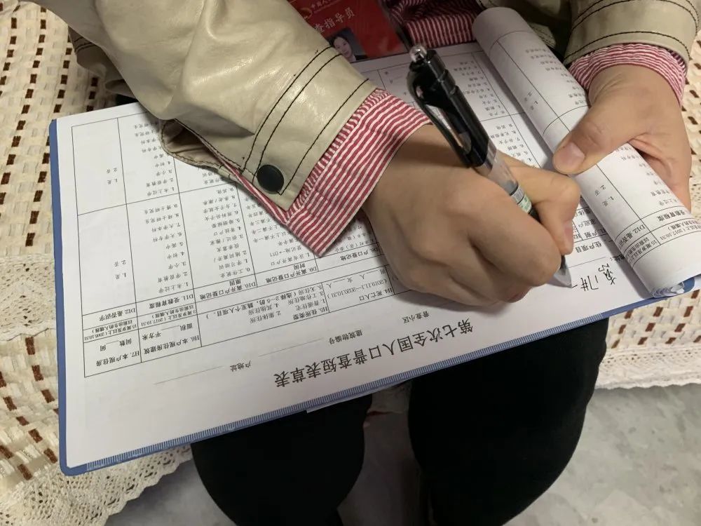 人口普查自助填报码_人口普查(2)