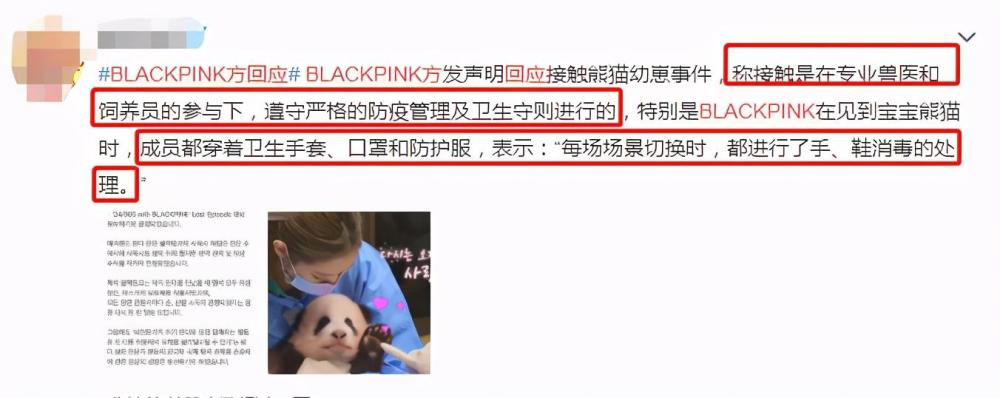 blackpink方回应熊猫幼崽事件,不仅不道歉,还推卸责任!