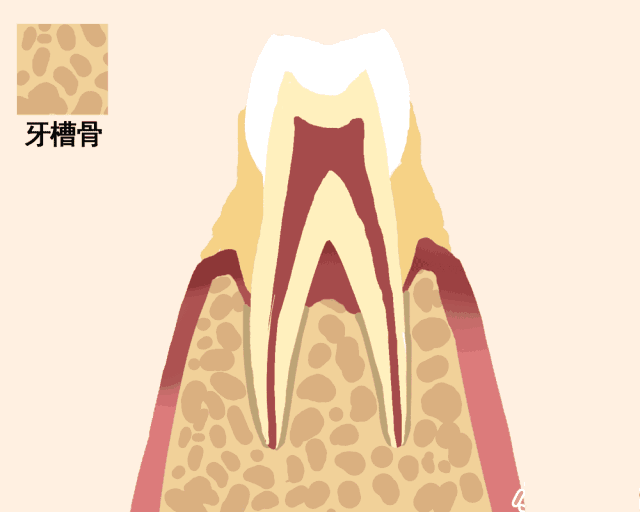 就称作牙齿松动; 牙齿松动的原因有: 牙齿松动可由多种原因引起,主要