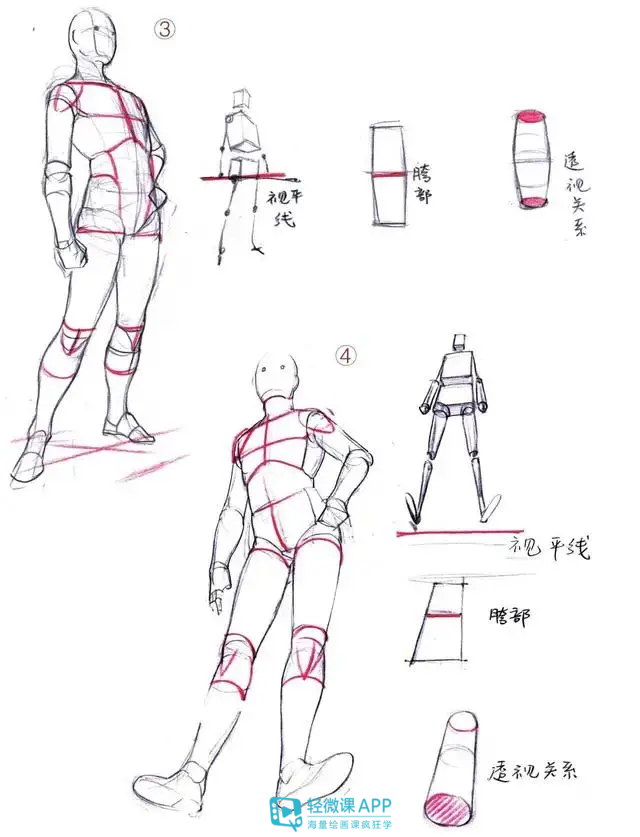 超详细人体体形画法教程来了