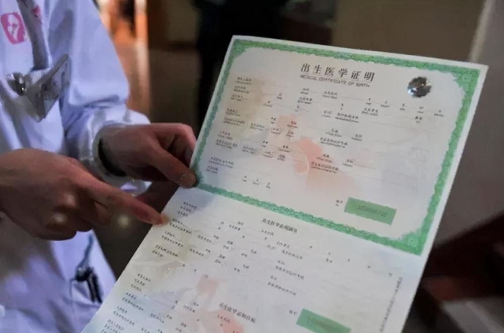 人口户籍网_户籍人口小学入学网上报名开始 市实验小学招生划片公布(2)
