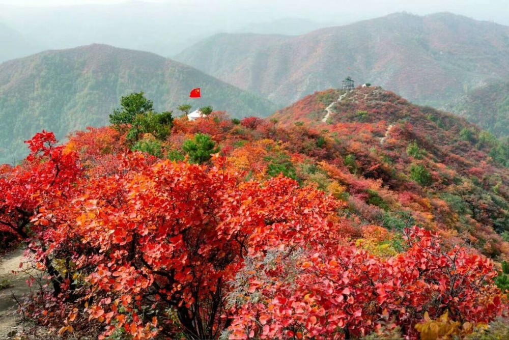 芒砀镇人口_腾冲芒棒镇红豆树村(3)