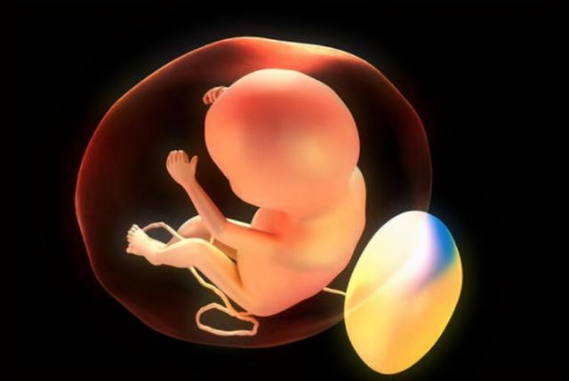 孕8-9个月满足这些标准,说明胎儿发育良好,孕妇可以