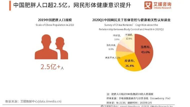 2019中国肥胖人口_中国肥胖人口占比(2)